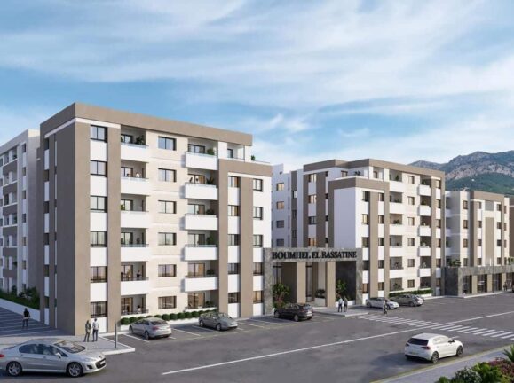 WhatsApp Image 2026-03-17 at 21.43.27